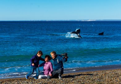 El Doradillo, una platea VIP para el avistaje de la ballena Franca Austral