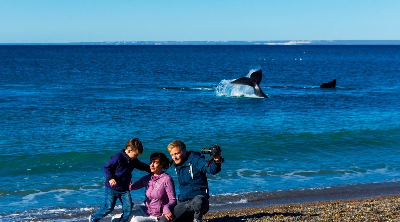 El Doradillo, una platea VIP para el avistaje de la ballena Franca Austral