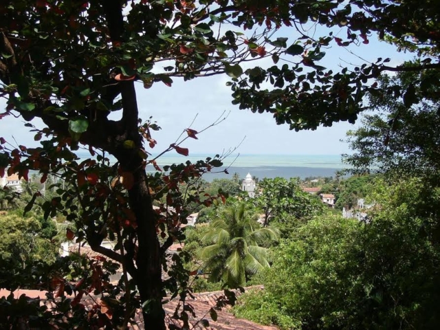 Playa y vegetación exuberante