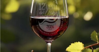 Vinos, comidas regionales y festivales para disfrutar del finde en Córdoba