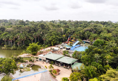 Brasil: rutas con aroma a café, desde la planta a la taza