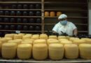 Córdoba Turismo avanza hacia el desarrollo de los Caminos del Queso
