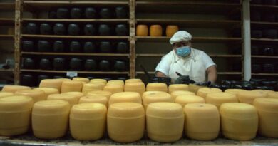 Córdoba Turismo avanza hacia el desarrollo de los Caminos del Queso