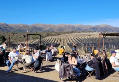 Cuatro bodegas singulares para visitar en Córdoba